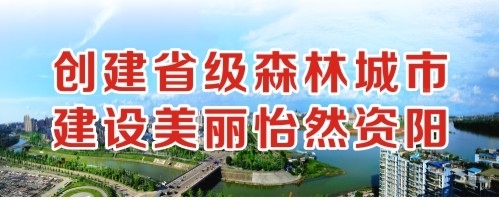 大鸡吧操小骚逼创建省级森林城市 建设美丽怡然资阳